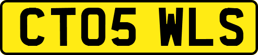CT05WLS