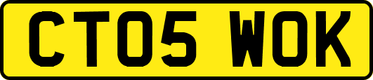 CT05WOK