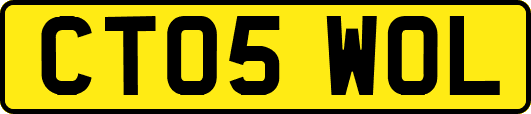 CT05WOL