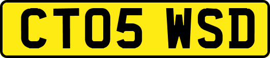 CT05WSD