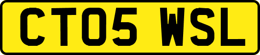CT05WSL