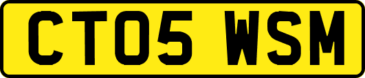 CT05WSM