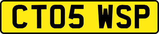 CT05WSP