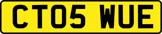 CT05WUE