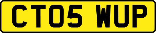 CT05WUP