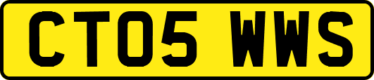 CT05WWS