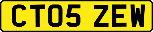 CT05ZEW