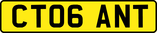 CT06ANT