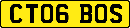 CT06BOS