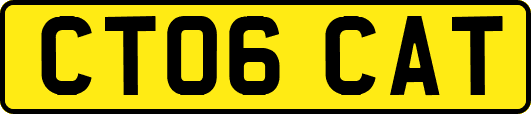 CT06CAT
