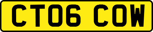 CT06COW