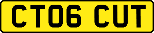 CT06CUT