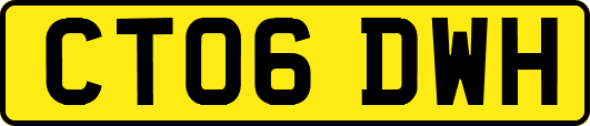 CT06DWH