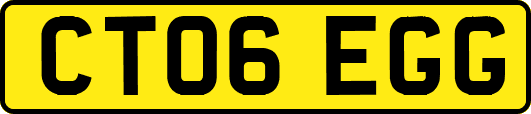 CT06EGG