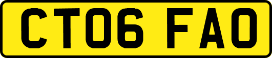 CT06FAO