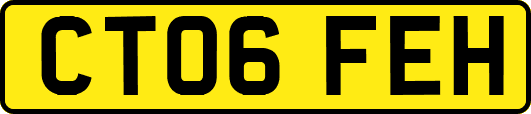 CT06FEH