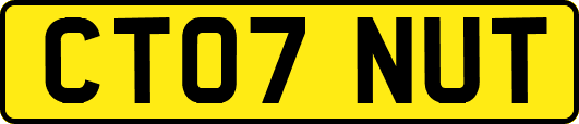CT07NUT