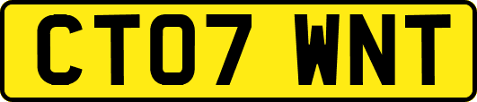 CT07WNT