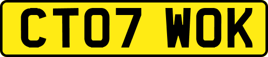 CT07WOK