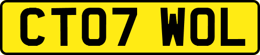 CT07WOL