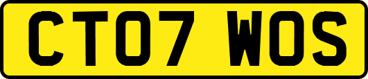 CT07WOS