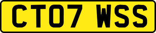 CT07WSS