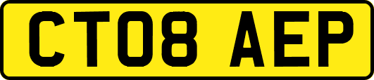 CT08AEP