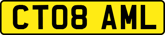 CT08AML
