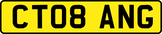 CT08ANG