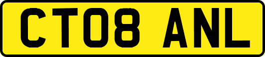 CT08ANL