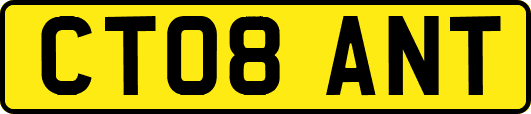 CT08ANT