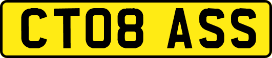 CT08ASS
