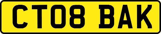 CT08BAK