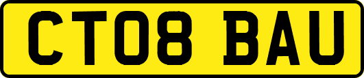 CT08BAU