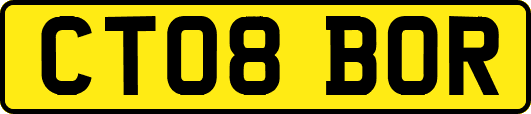 CT08BOR