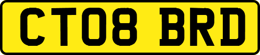 CT08BRD