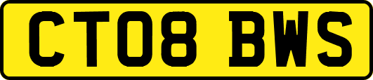 CT08BWS
