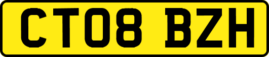 CT08BZH
