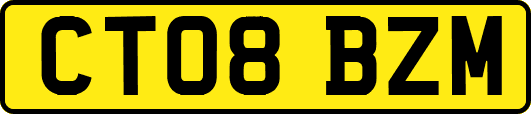 CT08BZM