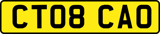 CT08CAO