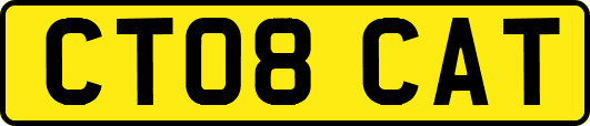 CT08CAT