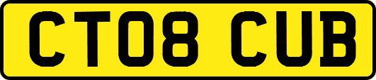 CT08CUB