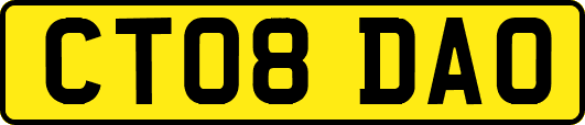 CT08DAO