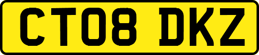 CT08DKZ