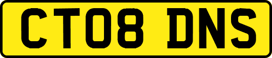 CT08DNS