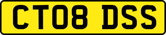 CT08DSS