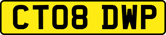 CT08DWP
