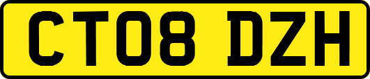 CT08DZH