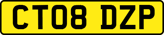 CT08DZP