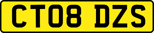 CT08DZS